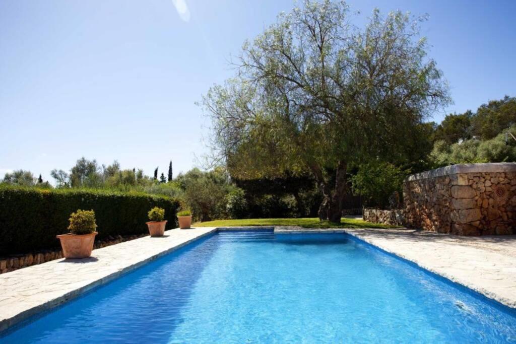 The Old Villa *