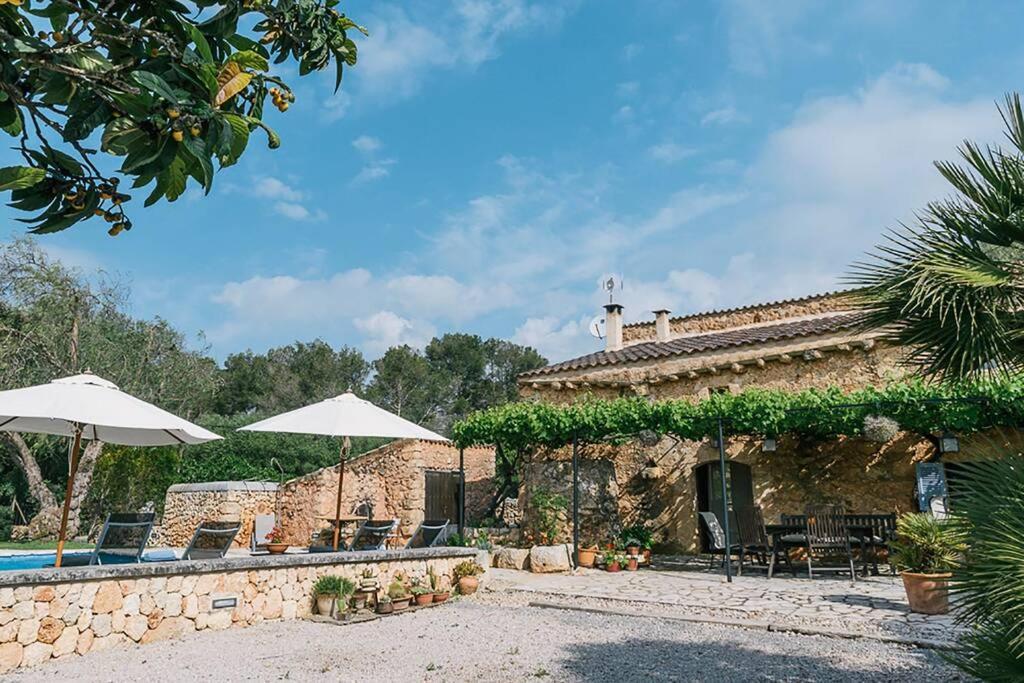 The Old Villa *